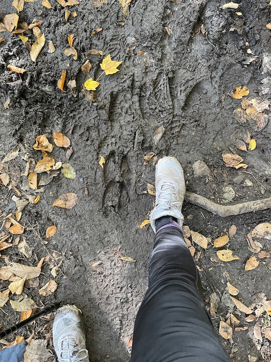 So You Want to Hike Without Advil?